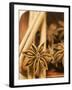 Star Anise and Cinnamon Sticks in Wooden Bowl-null-Framed Photographic Print