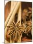 Star Anise and Cinnamon Sticks in Wooden Bowl-null-Mounted Photographic Print