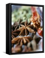 Star Anise and Dried Chili Peppers-Jürg Waldmeier-Framed Stretched Canvas