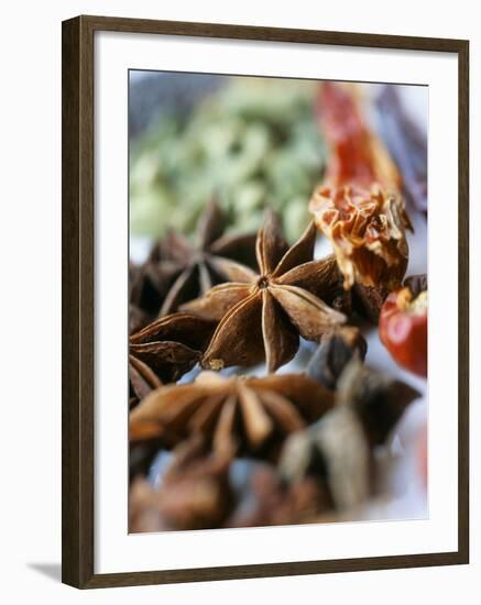 Star Anise and Dried Chili Peppers-Jürg Waldmeier-Framed Photographic Print