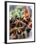 Star Anise and Dried Chili Peppers-Jürg Waldmeier-Framed Photographic Print