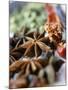 Star Anise and Dried Chili Peppers-Jürg Waldmeier-Mounted Photographic Print