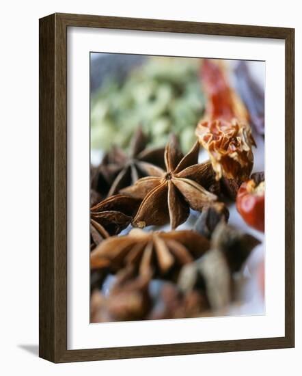 Star Anise and Dried Chili Peppers-Jürg Waldmeier-Framed Photographic Print