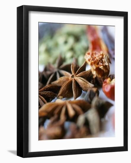Star Anise and Dried Chili Peppers-Jürg Waldmeier-Framed Photographic Print