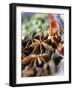 Star Anise and Dried Chili Peppers-Jürg Waldmeier-Framed Photographic Print