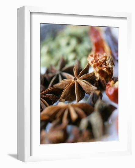 Star Anise and Dried Chili Peppers-Jürg Waldmeier-Framed Photographic Print