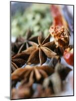 Star Anise and Dried Chili Peppers-Jürg Waldmeier-Mounted Photographic Print