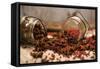 Star Anise and Red Pepper Corns around a Rustic Mason Jar-Alastair Macpherson-Framed Stretched Canvas