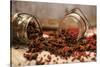 Star Anise and Red Pepper Corns around a Rustic Mason Jar-Alastair Macpherson-Stretched Canvas