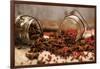 Star Anise and Red Pepper Corns around a Rustic Mason Jar-Alastair Macpherson-Framed Photographic Print