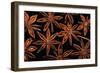 Star Anise Close-Up of Seeds-null-Framed Photographic Print