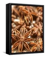 Star Anise-Dirk Pieters-Framed Stretched Canvas