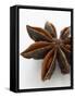 Star Anise-Herbert Lehmann-Framed Stretched Canvas