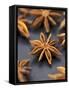 Star Anise-Winfried Heinze-Framed Stretched Canvas