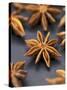 Star Anise-Winfried Heinze-Stretched Canvas