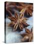 Star Anise-Maja Smend-Stretched Canvas