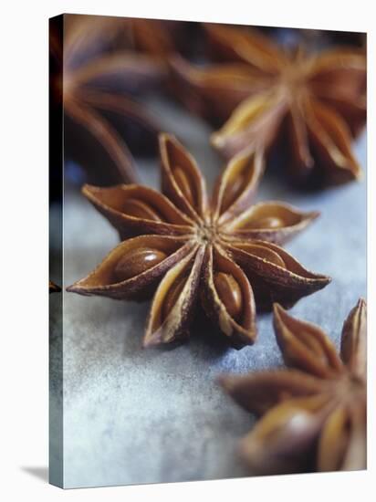 Star Anise-Maja Smend-Stretched Canvas