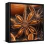 Star Anise-Chris Schäfer-Framed Stretched Canvas