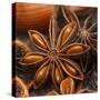 Star Anise-Chris Schäfer-Stretched Canvas