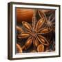 Star Anise-Chris Schäfer-Framed Premium Photographic Print