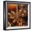 Star Anise-Chris Schäfer-Framed Premium Photographic Print