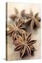 Star Anise-Neil Overy-Stretched Canvas