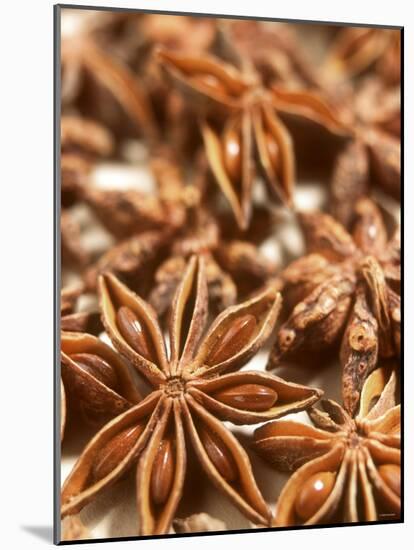 Star Anise-Dirk Pieters-Mounted Photographic Print