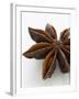 Star Anise-Herbert Lehmann-Framed Photographic Print