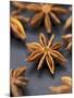 Star Anise-Winfried Heinze-Mounted Photographic Print