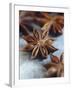 Star Anise-Maja Smend-Framed Photographic Print