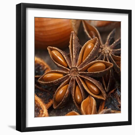 Star Anise-Chris Schäfer-Framed Photographic Print