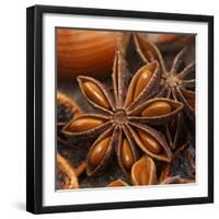 Star Anise-Chris Schäfer-Framed Photographic Print