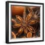 Star Anise-Chris Schäfer-Framed Photographic Print