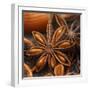 Star Anise-Chris Schäfer-Framed Photographic Print