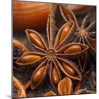 Star Anise-Chris Schäfer-Mounted Photographic Print