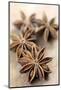 Star Anise-Neil Overy-Mounted Photographic Print