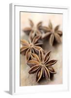 Star Anise-Neil Overy-Framed Photographic Print