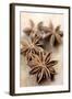 Star Anise-Neil Overy-Framed Photographic Print