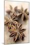 Star Anise-Neil Overy-Mounted Photographic Print