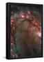Star Birth in Galaxy M83 Hubble Wide Field Camera 3 Space Photo Poster Print-null-Framed Poster