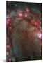 Star Birth in Galaxy M83 Hubble Wide Field Camera 3 Space Photo Poster Print-null-Mounted Poster