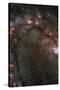 Star Birth in Galaxy M83 Hubble Wide Field Camera 3 Space Photo Poster Print-null-Stretched Canvas