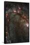 Star Birth in Galaxy M83 Hubble Wide Field Camera 3 Space Photo Poster Print-null-Framed Poster