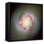 Star Birth In Galaxy NGC 4314-null-Framed Stretched Canvas