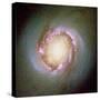 Star Birth In Galaxy NGC 4314-null-Stretched Canvas