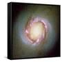 Star Birth In Galaxy NGC 4314-null-Framed Stretched Canvas