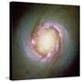 Star Birth In Galaxy NGC 4314-null-Stretched Canvas