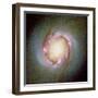 Star Birth In Galaxy NGC 4314-null-Framed Premium Photographic Print