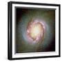 Star Birth In Galaxy NGC 4314-null-Framed Premium Photographic Print