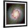 Star Birth In Galaxy NGC 4314-null-Framed Photographic Print